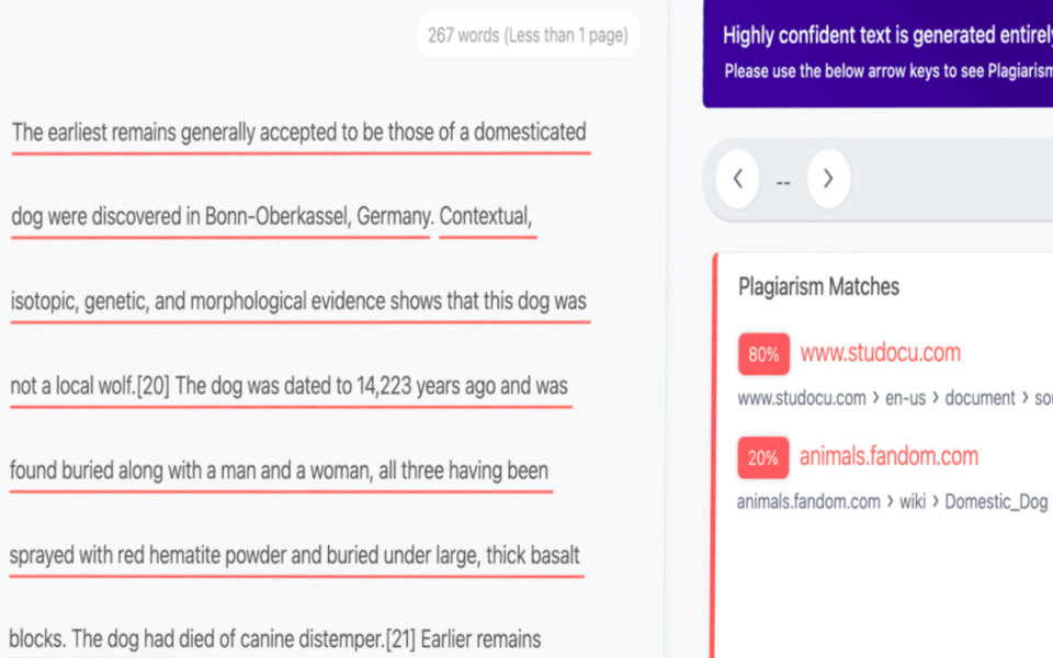 Plagiarism report: matches underlined, with sources listed beside the text